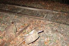 Zeitzeugen der Lehmproduktion in der Ziegelei Landquart- LandquartKultur, Landquart