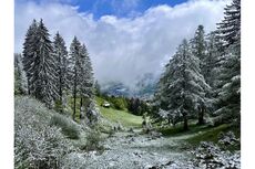 Fotowettbewerb LandquartKultur: Foto eingereicht von Michi Tschopp