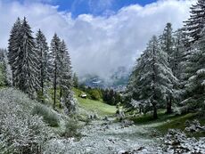 Fotowettbewerb LandquartKultur: Foto eingereicht von Michi Tschopp