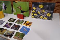 Vernissage "Fotos, die die Welt bedeuten" von Sandra und Roman Joseph, Igis. Organisiert durch LandquartKultur, Landquart (Graubünden)
