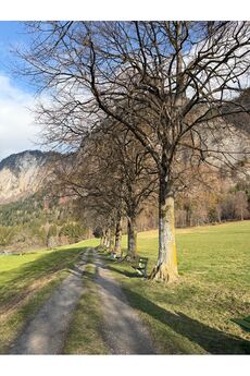 Fotowettbewerb LandquartKultur: Foto eingereicht von Sandra Joseph
