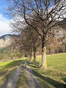 Fotowettbewerb LandquartKultur: Foto eingereicht von Sandra Joseph