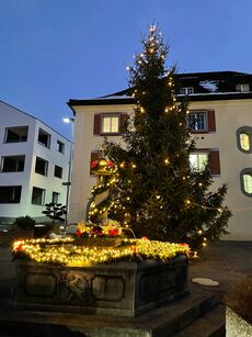 Fotowettbewerb LandquartKultur: Foto eingereicht von Sandra Joseph